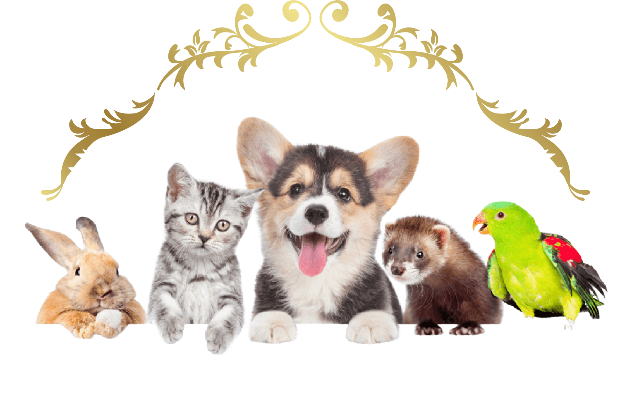 虹の橋行きステーション