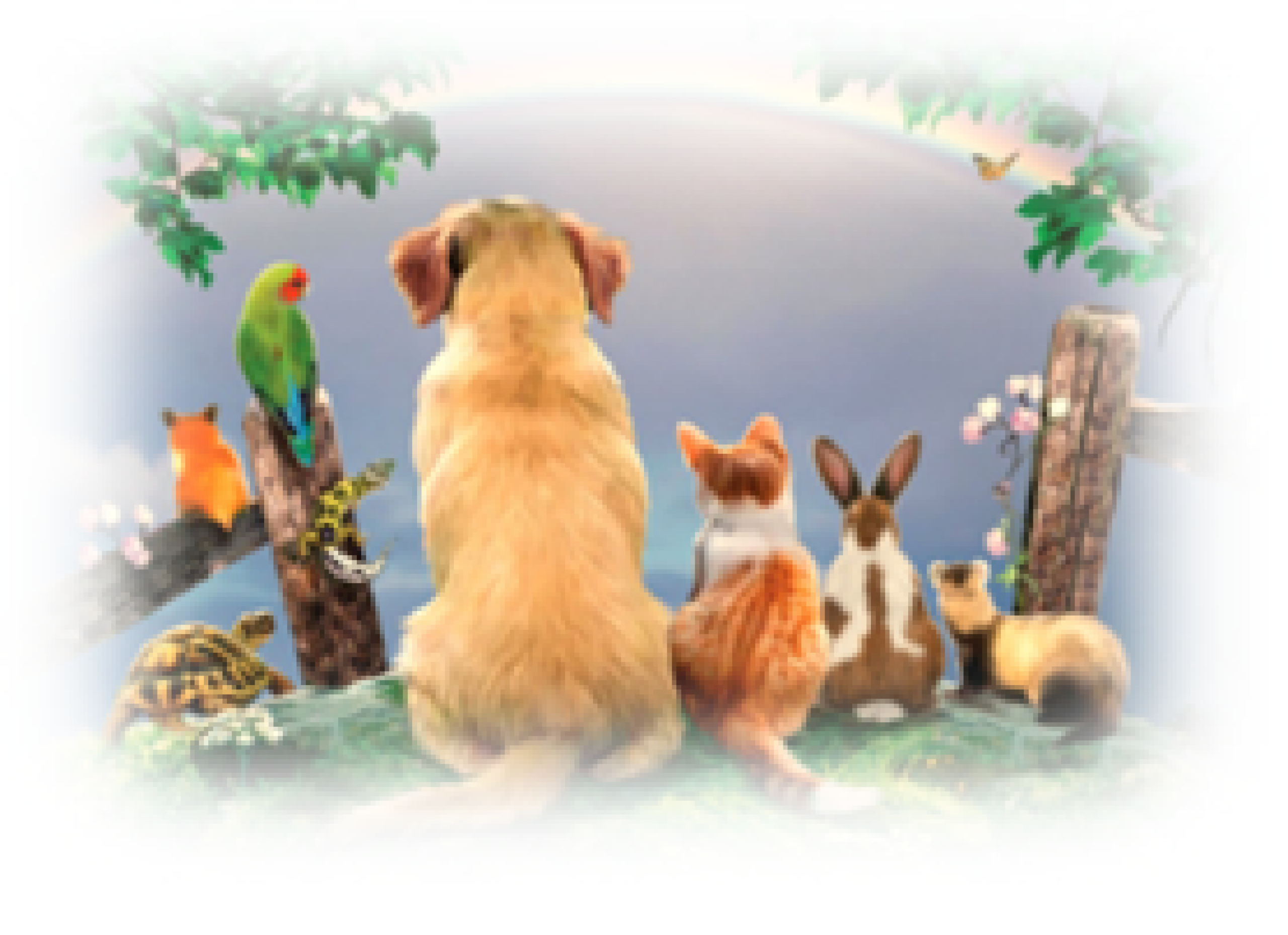 「想い」の見える化（透明性）