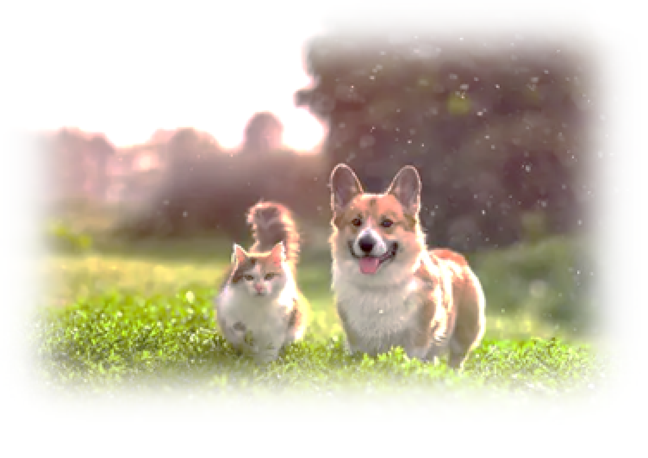 A SMALL FAREWELL＆THE STATION