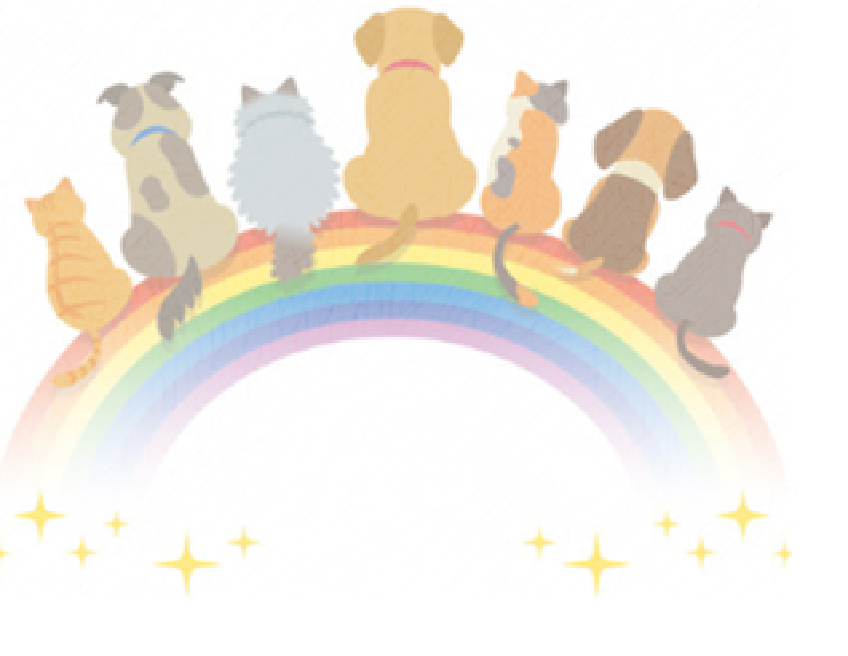 虹の橋行きステーション