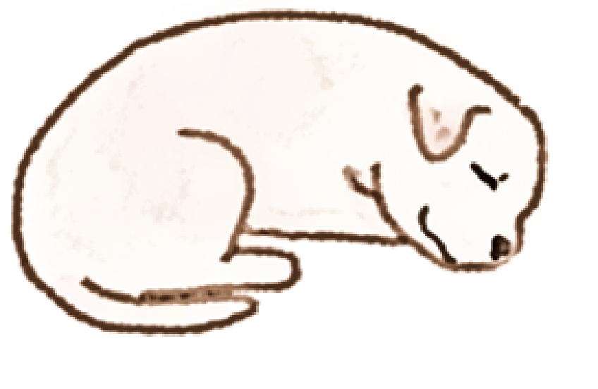 虹の橋行きステーション