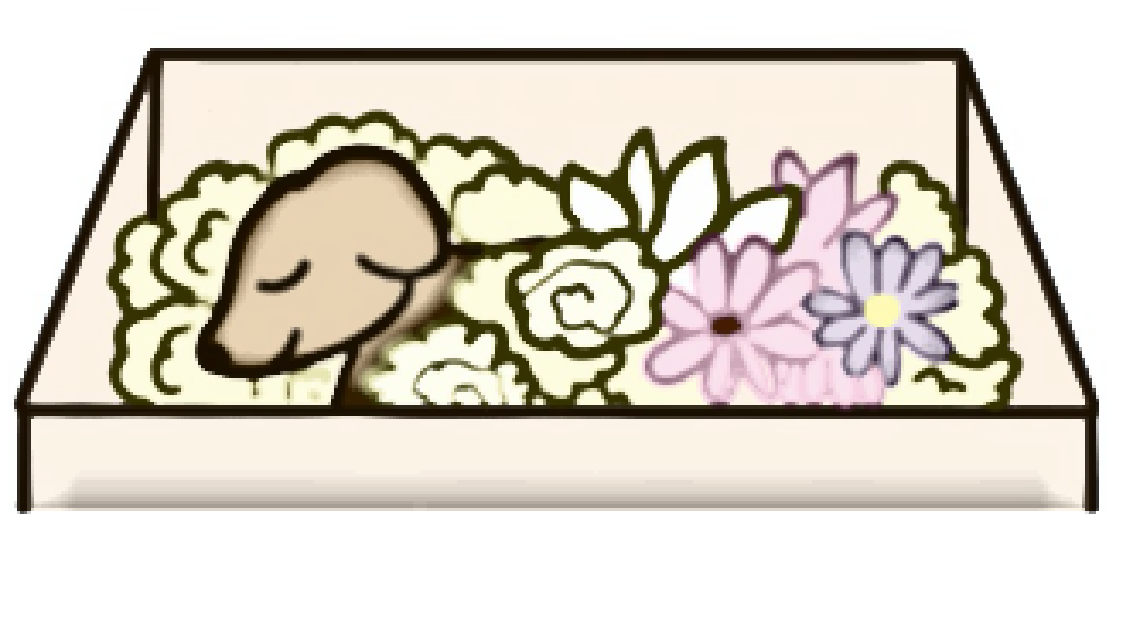 虹の橋行きステーション